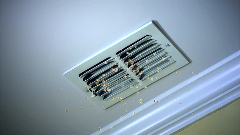 Best Home Air Vent Cleaning  in Elk Point, SD