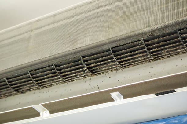 Best Commercial Air Duct Cleaning  in Elk Point, SD